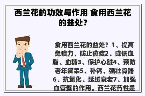 西兰花的功效与作用 食用西兰花的益处？